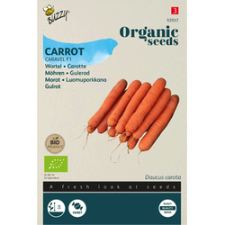 Seeds wortel caravel F1 1 gram