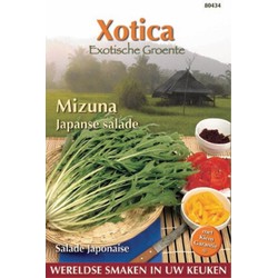 3 stuks - Xotica mizuna