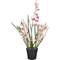 Mica Decorations Orchidee bloem kunstplant - perzik roze - H66 x B34 cm - Kunstplanten