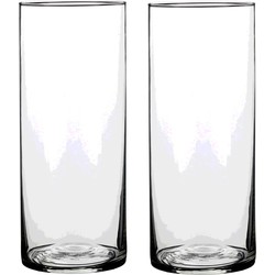 2x Ronde glazen cilinder vaas/vazen transparant 30 x 12 cm lang - Vazen