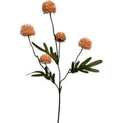 Zijdebloem - Pompon 52cm - Salmon - Zalm - 2stuks