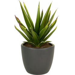 Floran Plantenpot - antraciet grijs - mat - keramiek - 19 x 17 cm - Plantenpotten