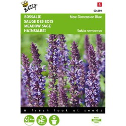 5 stuks - Salvia nemorosa New Dimension Blue Tuinplus