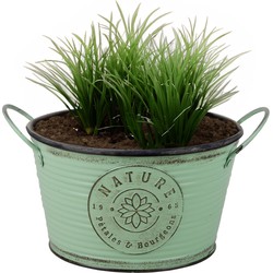 Sunnydays Teil/plantenpot - zink - rond - jadegroen - D22 x H12 cm - IJzeren emmer / teil