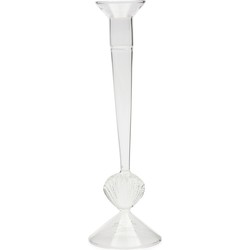 Shell Candle Holder