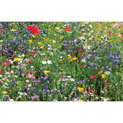 Tuindoek bloemenveld 210x140cm