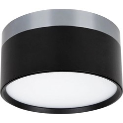 RAKU 18W Ø136mm geborsteld staal + zwart