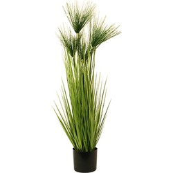 Cycas Gras im Topf 100 cm grün Kunstpflanze - Buitengewoon de Boet