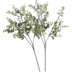 2 x Kunstbloemen tak groen/grijs eucalyptus 65 cm - Kunstbloemen