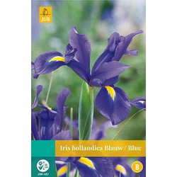 5 stuks - Iris hollandica blauw 20 bollen