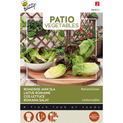 Patio Veggies Römischer Mini-Kopfsalat (gemischt) Samen - Buzzy