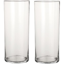 2x Ronde glazen cilinder vaas/vazen transparant 48 cm lang - Vazen