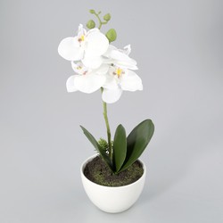 Orchidee im Plastiktopf weiß M unecht - Oosterik Home