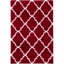 Safavieh Shaggy Indoor Woven Area Rug, Dallas Shag Collection, SGD257, in Red & Ivory, 155 X 229 cm