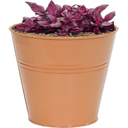 Mega Collections plantenpot/bloempot Bob - zink - terra - D13 X H12 cm - IJzeren emmer / teil