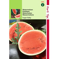2 stuks - HT Watermeloenen Sugar Baby - Hortitops