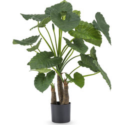 Hoyz Greenery - Kunstplant Alocasia 120 cm