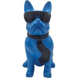 Beeld Franse Bulldog Bril Blauw