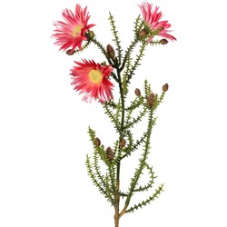 Kaaps groen bloemen knoppen, 60 cm d.roze kunstbloem zijde nepbloem