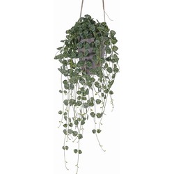 Ceropegia chinees lantaarn plantje 70 cm kunstbloem zijde nepbloem