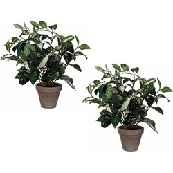 2x stuks cordyline kunstplanten/kamerplanten groen in grijze sierpot H33 cm x D25 cm - Kunstplanten
