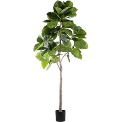 PTMD Kunstplant Ficus - 118x85x183 cm - Polyester - Groen
