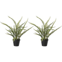 Varen Nephrolepis - 2x stuks - Kunstplant - Groen - 50 cm - Kunstplanten