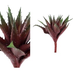 PTMD Succulent Aloe Vera Kunstplant - 17 x 18 x 25 cm - Groen/rood