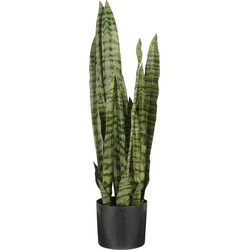 Mica Decorations Sanseveria Kunstplant in Bloempot - H80 x Ø15 cm - Groen