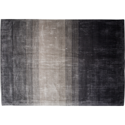 ERCIS - Laagpolig vloerkleed - Lichtgrijs - 160 x 230 cm - Viscose