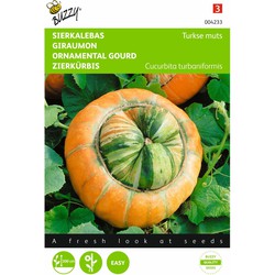 2 stuks - Cucurbita Turbaniformis Turkse Muts