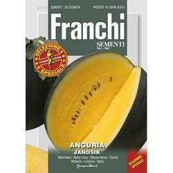 Meloen Wassermelone Janosik 3/32 zaden - Franchi