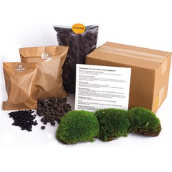 URBANJNGL - Planten terrarium pakket - Navul & Startpakket DIY terrarium - Mini ecosysteem plant