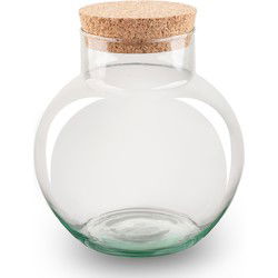 URBANJNGL - Terrarium met kurk - Noah - Gesloten terrarium ↑ 20 cm