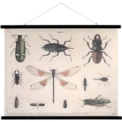 HK-living schoolplaat insecten geprint katoen XL 105x85x2,5cm