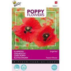 3 stuks - Poppies of the world klaproos rhoeas rood