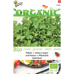 5 stuks - Seeds Bio Kopfsalat Salatschüssel grün (Bio) - Buzzy