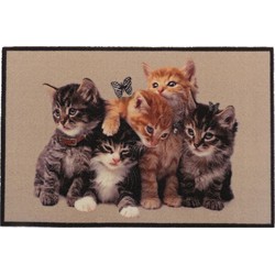 Deurmat voor kittens - L60 x b40 cm