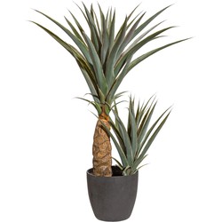 Kopu® Kunstplant Agave 80 cm in zwarte Pot - 2 stammen - Nepplant