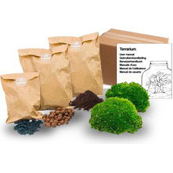 URBANJNGL - Planten terrarium - Navulling - Startpakket - DIY - Maat S/M
