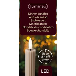 LED dinerkaars d2h24 cm lgrs/wwt 2st III kerst - Lumineo