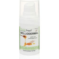 PHYTOTREAT MELLODERMAL HONINGCREME INDOOR 15 ML
