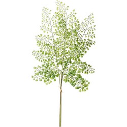 Groene kunstplant Adiantum kunst tak van 58 cm - Kunstplanten