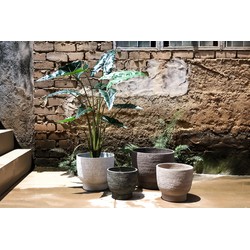PTMD Bloempot Pride - 55x55x46 cm - Glasvezel - Grijs