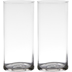 Set van 2x stuks transparante home-basics cylinder vorm vaas/vazen van glas 19 x 9 cm - Vazen
