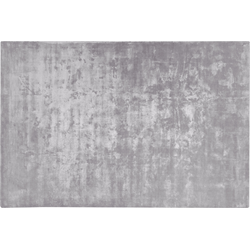GESI II - Laagpolig vloerkleed - Lichtgrijs - 200 x 300 cm - Viscose