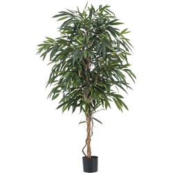 Kunstplant Longifolia Royaal Supreme 180 cm | NeverLeafs