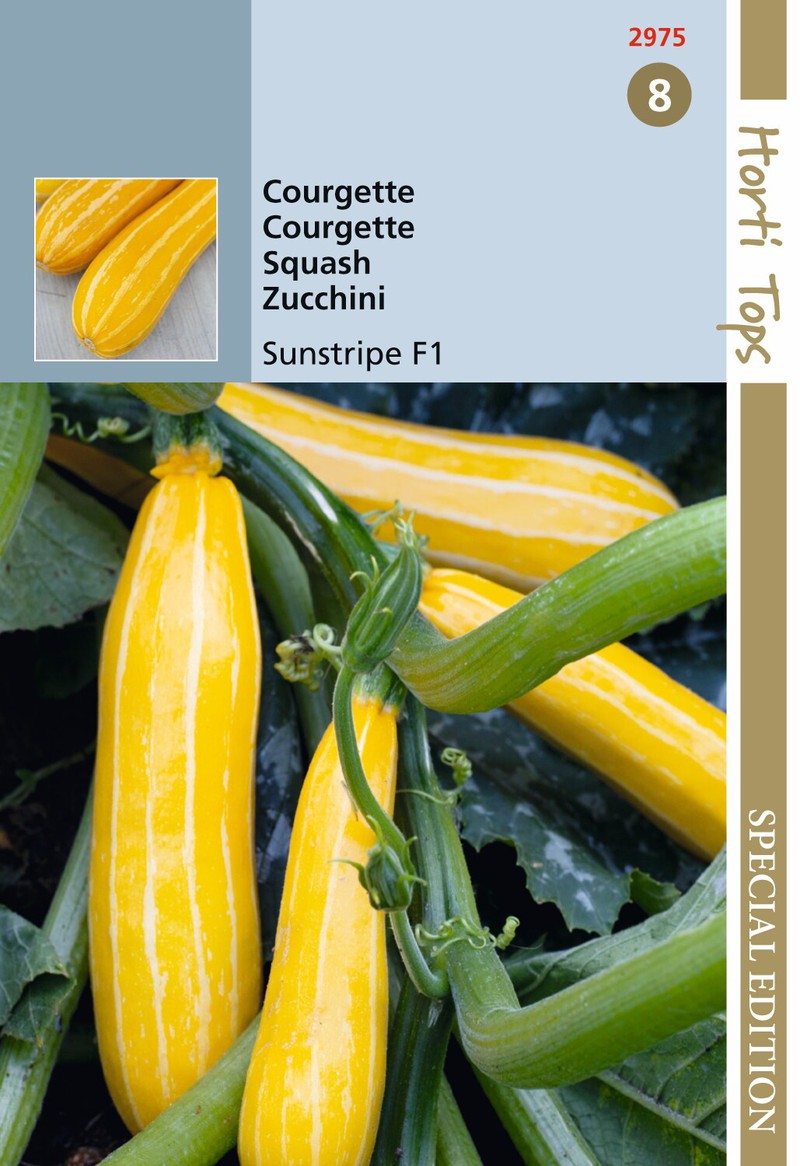 HTS Courgette Sunstripe F1, geel - Hortitops - 
