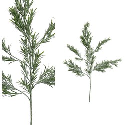 PTMD Twig Plant Podocarpus Kunsttak - 53 x 21 x 97 cm - Groen