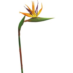 Bellatio Design Kunstbloem Strelitzia - 58 cm - losse tak - kunst zijdebloem - Paradijsvogelplant - Kunstbloemen